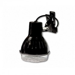 Econlux Solar Raptor Portalampade Clamp Lamp S