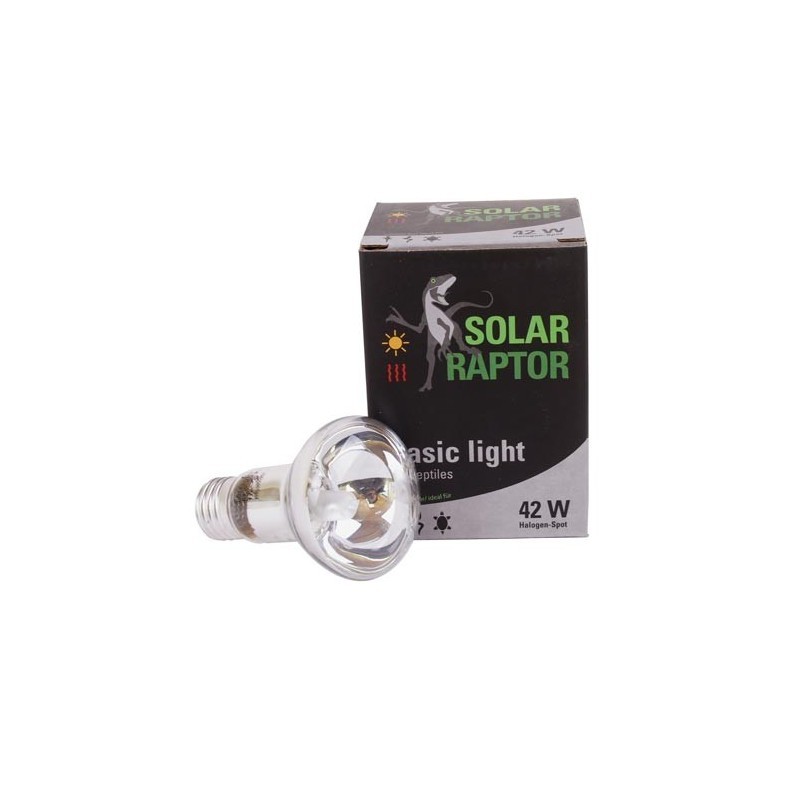 Econlux Solar Raptor Lampada Spot 42w