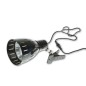 Econlux Solar Raptor Portalampade Clamp Lamp L