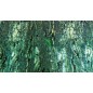 Trixie Parete Posteriore Per Terrari Corteccia/Foresta 60x150cm
