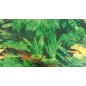 Trixie Parete Posteriore Per Terrari Corteccia/Foresta 60x150cm