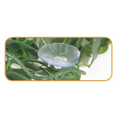 Ferplast Croton Plant h.80cm