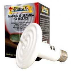 Fortesan Lampada In Ceramica 60w