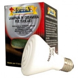 Fortesan Lampada In Ceramica 100w