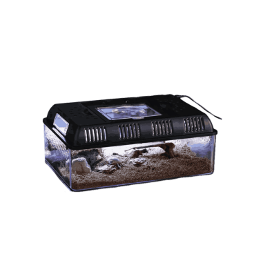 Reptile Nature Box Per L'Allevamento Di Rettili Con Luce USB All'Interno 31.5x22x12.5cm