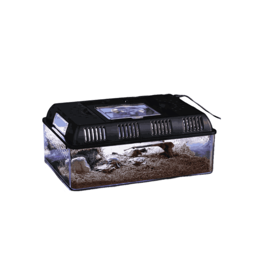 Reptile Nature Box Per L'Allevamento Di Rettili Con Luce USB All'Interno 31.5x22x12.5cm