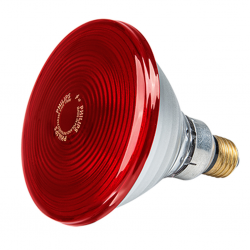 Philips Lampada A Raggi Infrarossi 150w 240v PAR38 IR Red 125mm